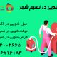 مبل شویی در اکبر آباد 80x80